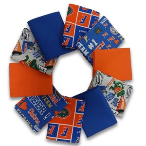 Florida Gators - Fat Quarter Bundle - 10 pack (Blue & Orange)
