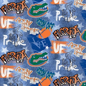 Alligatori della Florida - Graffiti
