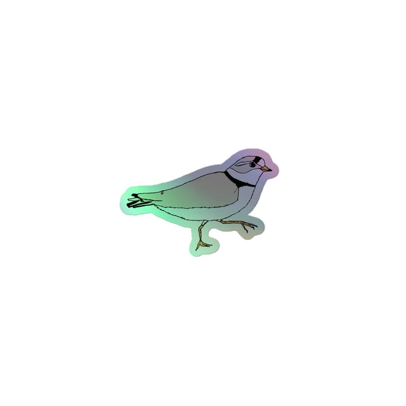 Piping Plover Holographic Sticker - Birder Gift, Ornithologist, Bird ...