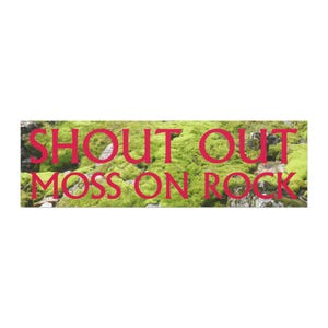 May include: A rectangular graphic featuring a vibrant green mossy texture covering grey rocks. The text SHOUT OUT MOSS ON ROCK is printed in a bold, bright pink font across the center of the image, contrasting with the natural green background.
