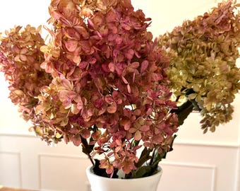 May include: A white vase with a grape design holds a bouquet of dried hydrangeas. The flowers display shades of pink, brown, and green. The vase sits on a wooden table with a white lace doily.