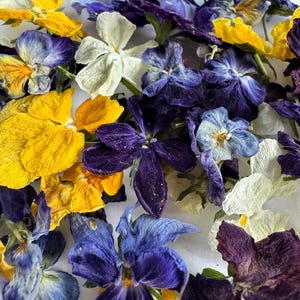 Dried Violet Viola Flower Heads, Dried Flowers, Dried Flower Heads, Dried Flower Craft Kit, DIY Wedding Decor, Loose Flowers