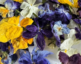 Dried Violet Viola Pansy Flower Heads, Mixed Colors Craft Kit, Wedding Decor Loose Flowers