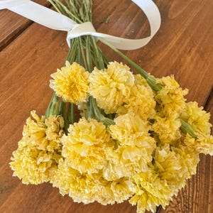 Dried Swan White Marigold Stems: DIY Floral Craft Supply image 9