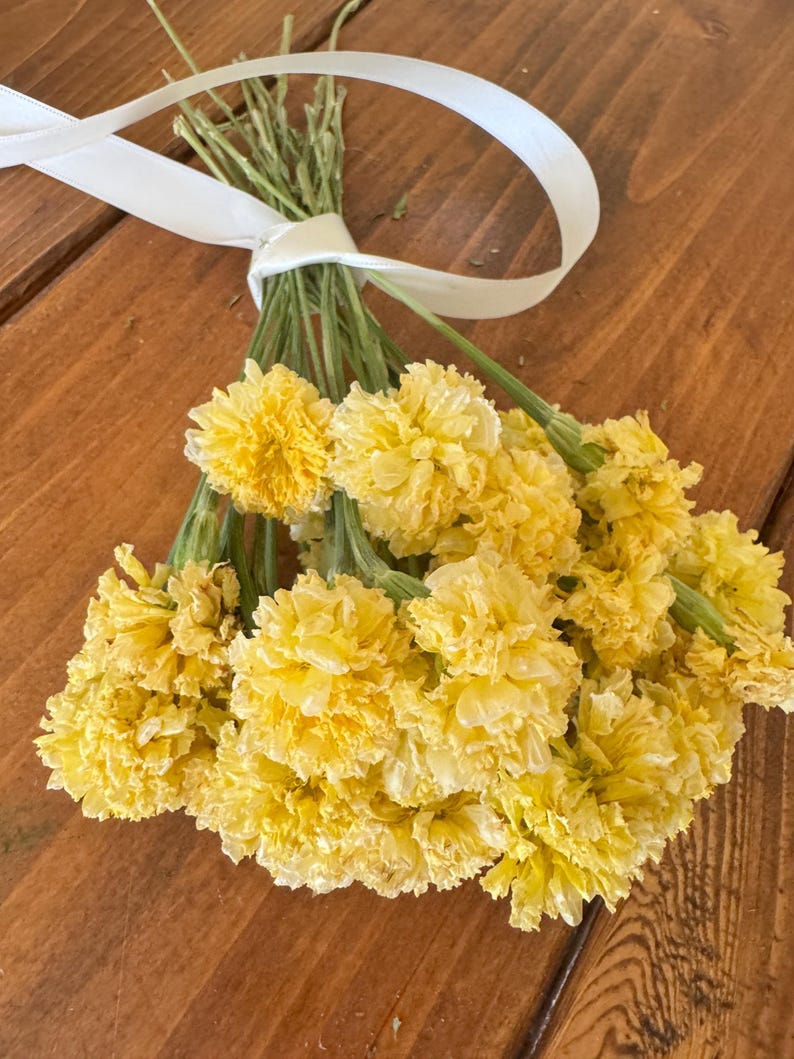 Dried Swan White Marigold Stems: DIY Floral Craft Supply image 9