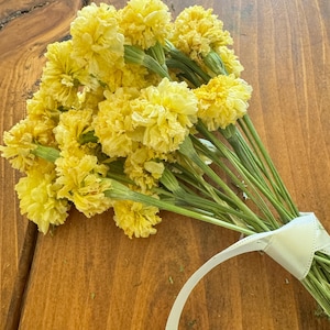 Dried Swan White Marigold Stems: DIY Floral Craft Supply image 2