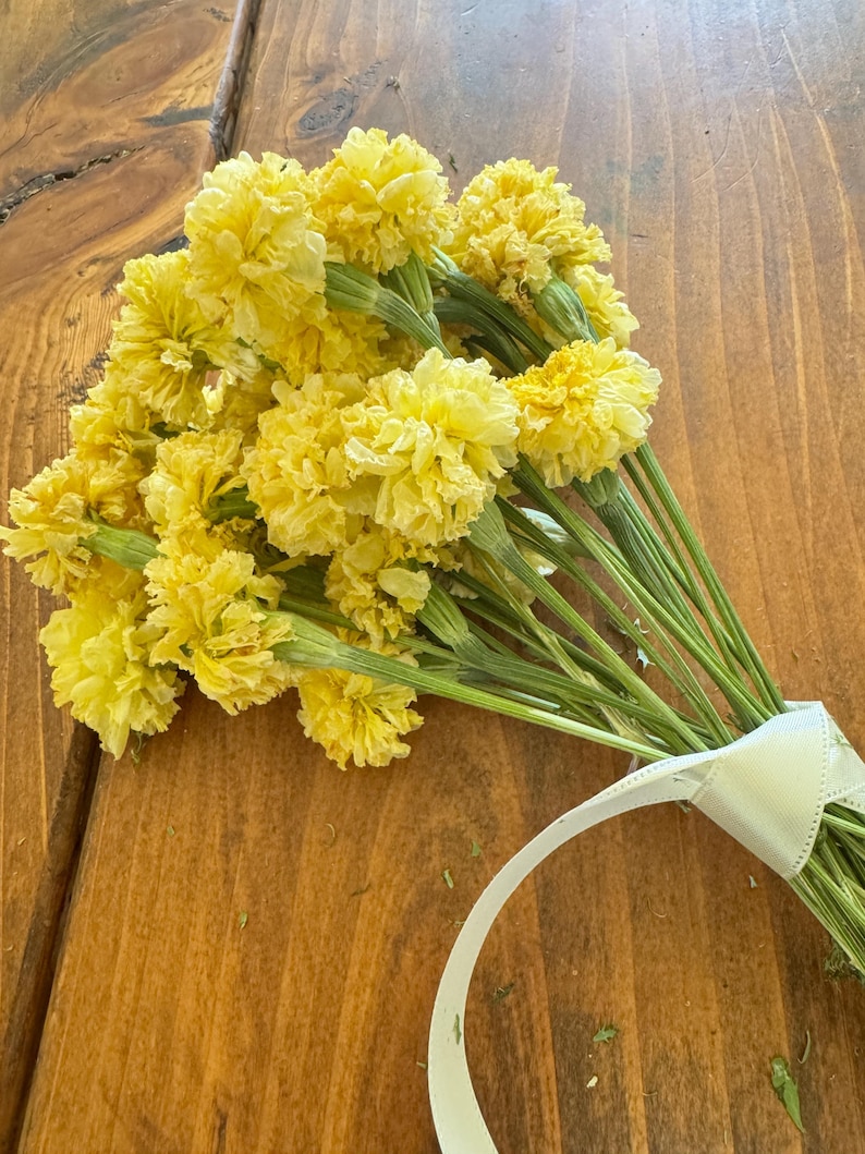 Dried Swan White Marigold Stems: DIY Floral Craft Supply image 2