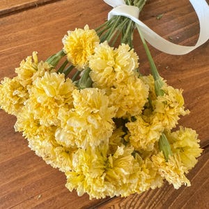 Dried Swan White Marigold Stems: DIY Floral Craft Supply image 8