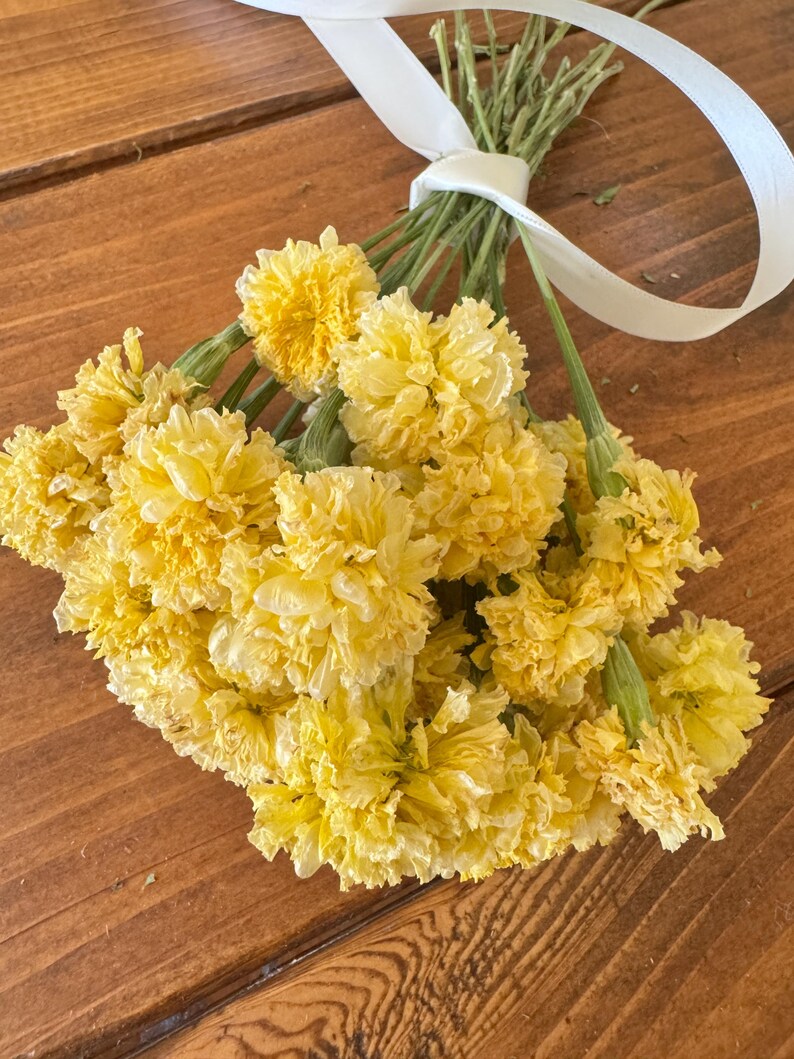 Dried Swan White Marigold Stems: DIY Floral Craft Supply image 8