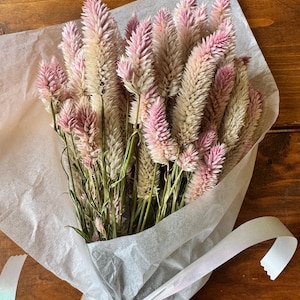 Dried Pink Flamingo Feather Celosia Stems: DIY Floral Craft Kit, Wedding Decor
