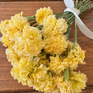 Dried Swan White Marigold Stems: DIY Floral Craft Supply image 6