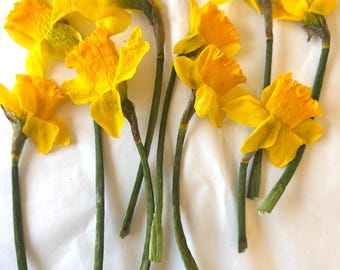 Pressed Yellow Daffodils with Stems: Dried Flowers for Crafts & Resin Art