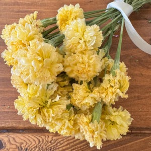 Dried Swan White Marigold Stems: DIY Floral Craft Supply image 3