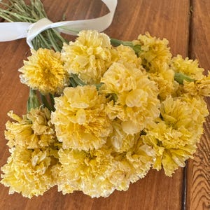 Dried Swan White Marigold Stems: DIY Floral Craft Supply image 5