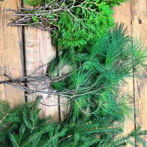 Fresh Cut Holiday Greenery Mix: Spruce, Juniper, Cedar, Pine - DIY Christmas Decor