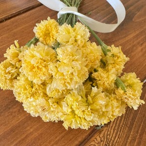 Dried Swan White Marigold Stems: DIY Floral Craft Supply image 4