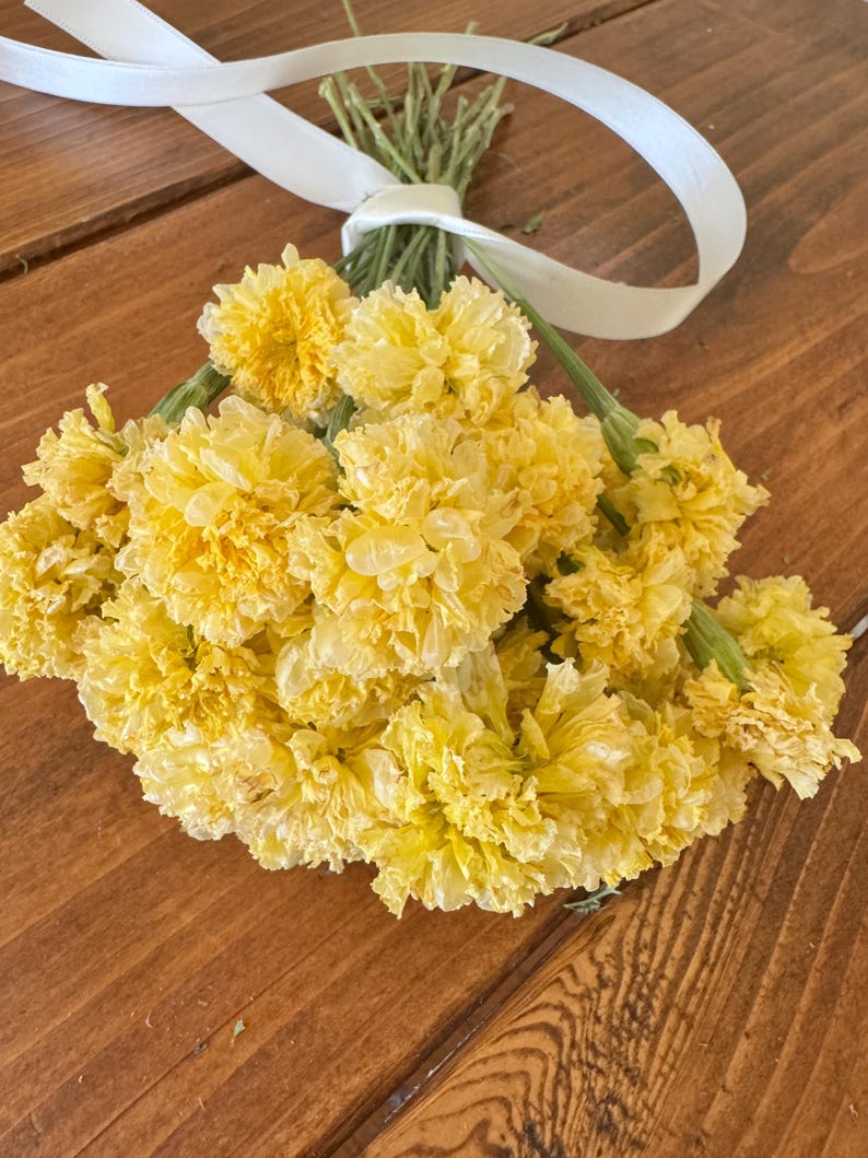 Dried Swan White Marigold Stems: DIY Floral Craft Supply image 4