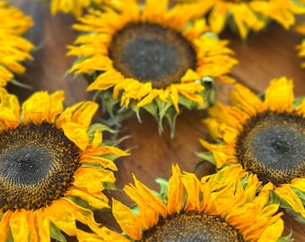 Dried Sunflower Heads: DIY Wedding & Craft Flowers