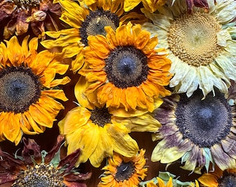 Dried Mixed Sunflower Heads: DIY Wedding Decor, Floral Crafts