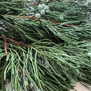 May include: Close-up of fresh green juniper branches with small, pale blue-green berries. The branches have a textured appearance and are arranged in a natural, organic pattern. The image showcases the natural beauty of the juniper plant, perfect for crafting or decorative purposes.