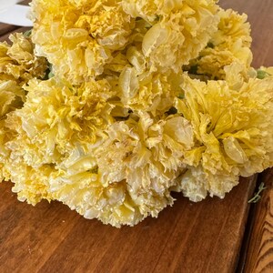 Dried Swan White Marigold Stems: DIY Floral Craft Supply image 10