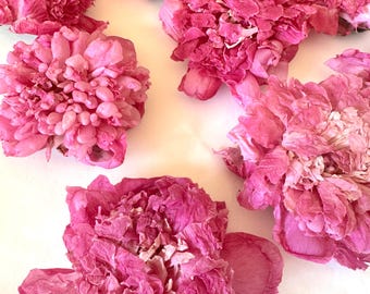 Dried Pink Peony Heads: Resin, Wedding Decor