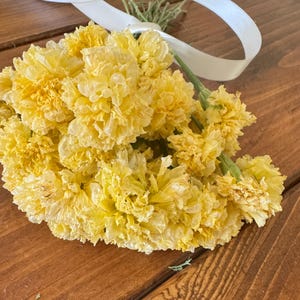 Dried Swan White Marigold Stems: DIY Floral Craft Supply image 7