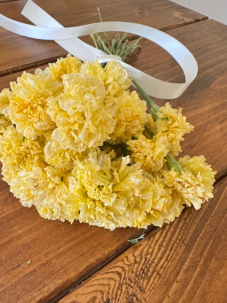 Dried Swan White Marigold Stems: DIY Floral Craft Supply image 7