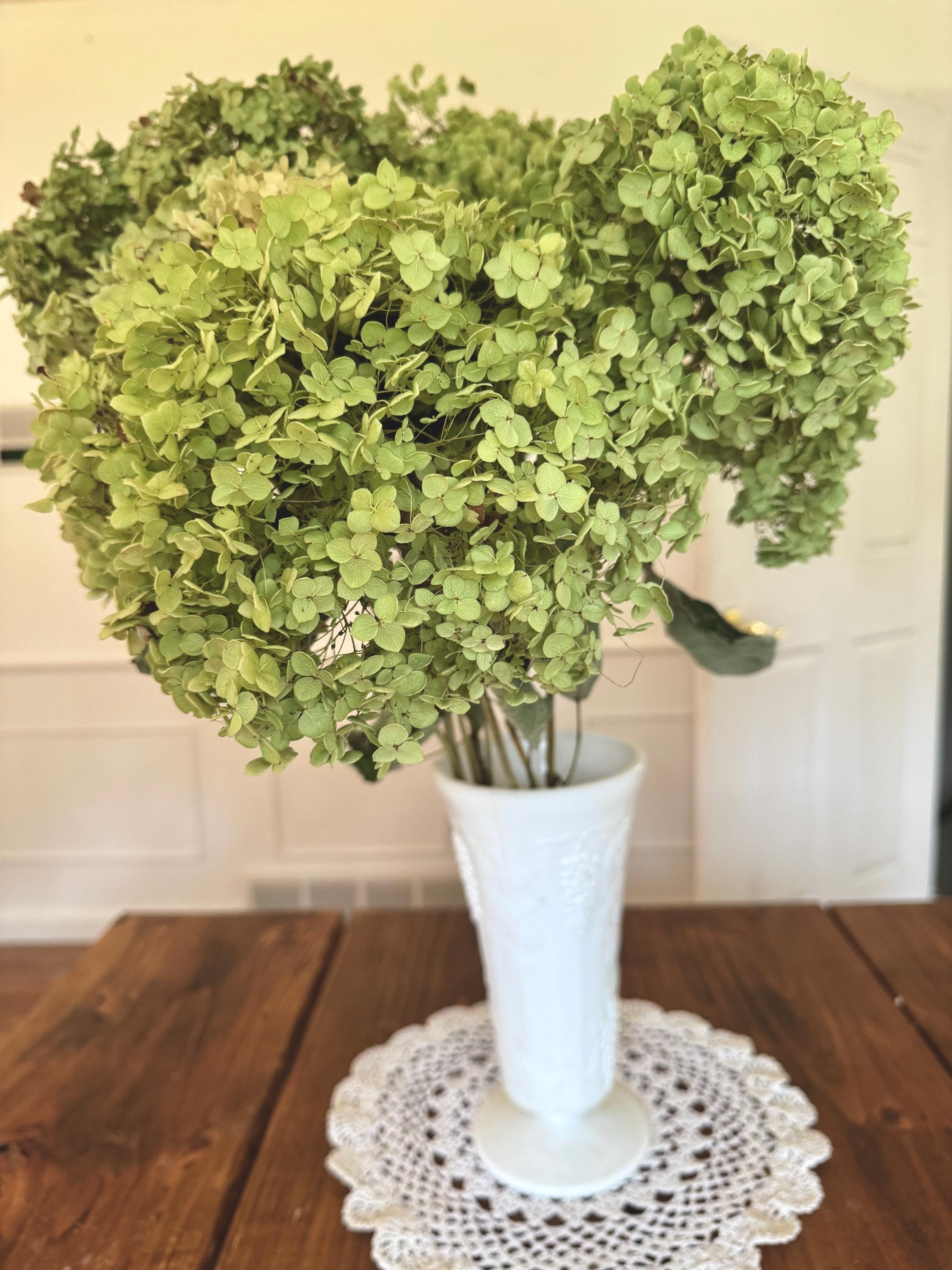 3 Stems Annabelle Hydrangea: Floral Craft Supply, Dried Flowers