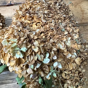 May include: Dried hydrangea flower heads in shades of brown, tan, and faded green. The petals are delicate and layered, with some stems and leaves visible. The flowers are arranged on a wooden surface.