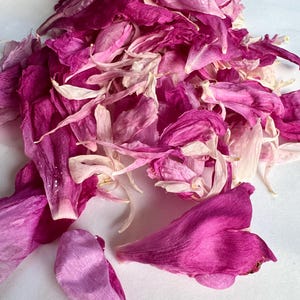 Dried Pink Peony Petals: Natural Wedding Confetti, Resin Art Supply