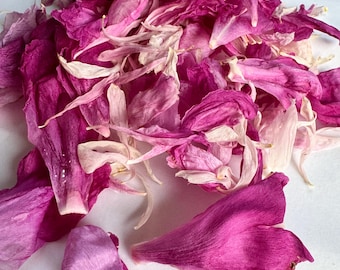 Dried Pink Peony Petals: Biodegradable Natural Flower Confetti, Resin Art Supply, Preserved Wedding Decor