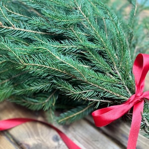 Fresh Cut Spruce Tips: Holiday Christmas Greenery, wreath making, porch pots, garland, winter decor