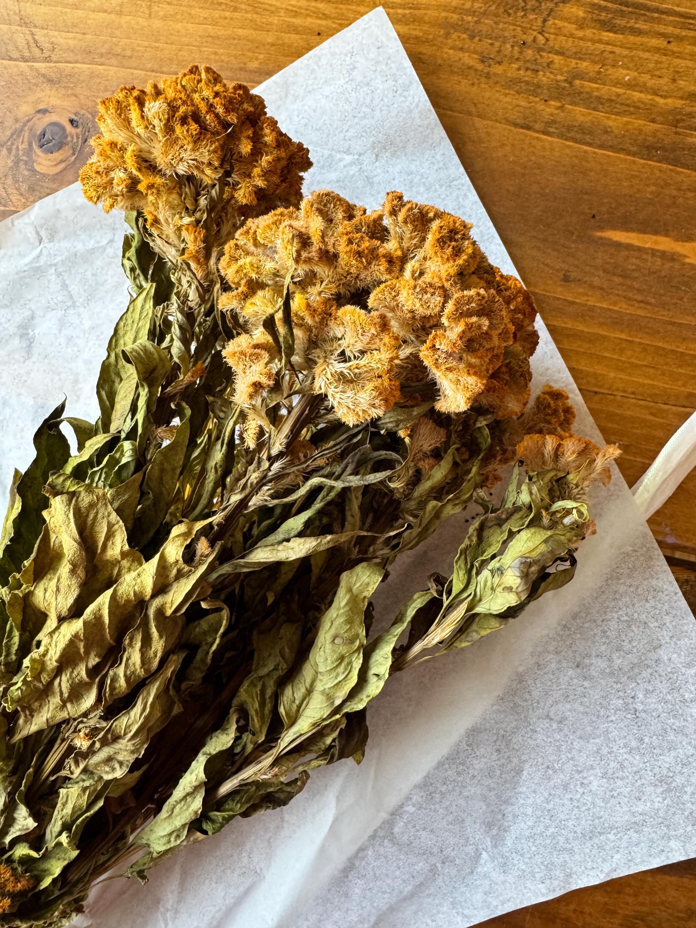 Dried Golden Brown Cockscomb Celosia Stems: Craft & Wedding Floral ...