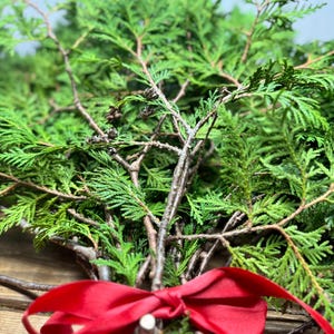 Fresh Cut Cedar Branches with Pine Cones: Holiday Garland, Wreath Making, Christmas Winter Greens