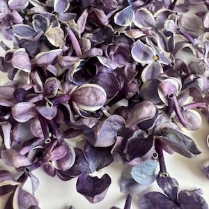 Dried Lilac Buds, REAL Preserved Lilac Flowers, Natural Loose Lilac Petals, Soap Supplies, Dried Lilac Flowers, Dried Flowers