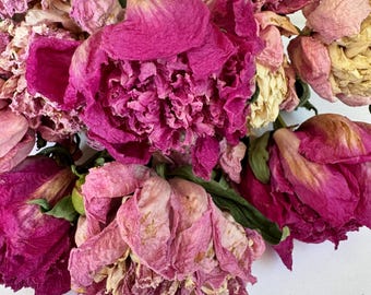 Air Dried Pink Peonies with Stems: Real Flowers for Resin Art & Wedding Decor