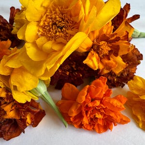 Dried Marigold Flower Heads: DIY Craft & Wedding Decor