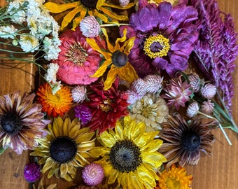 Dried Mixed Flower Heads: DIY Craft Supply