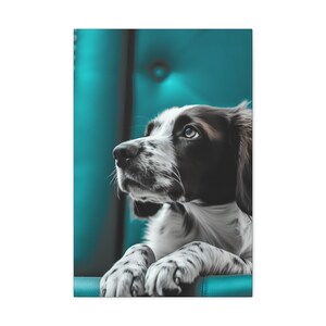 Teal Throne - Border Collie Canvas Gallery Wrap