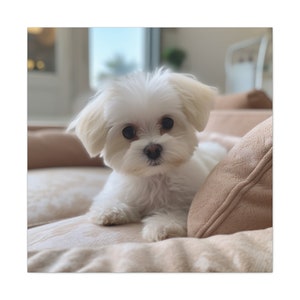Cozy Maltese Puppy Canvas Gallery Wrap