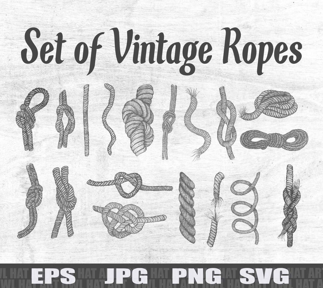 Set of Vintage Ropes Vector Illustration Svg Ropes for Your Etsy