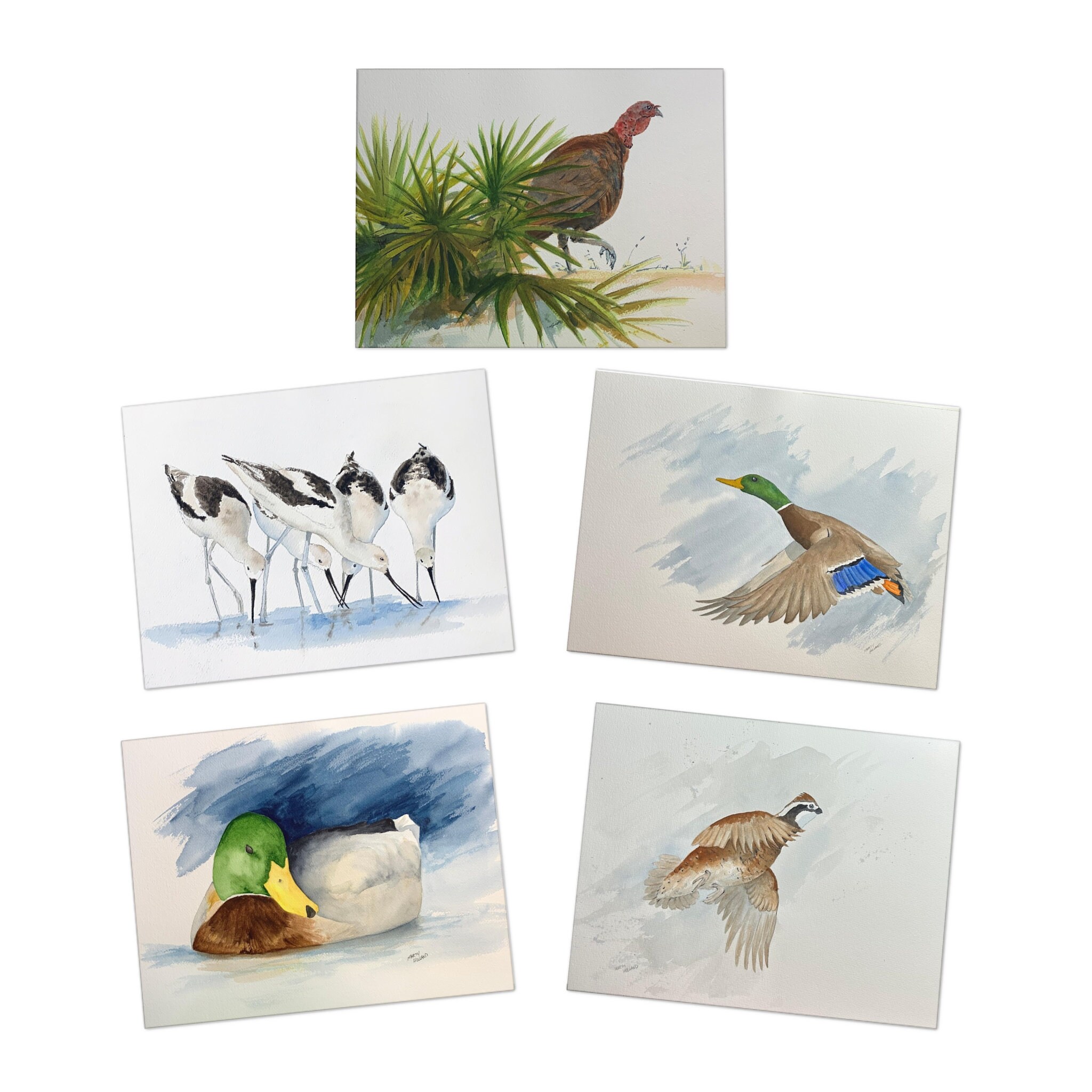 Watercolor Birds Set 2 Multi-design Notecards, Fine Art Greeting Cards ...
