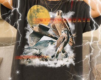Camiseta Falcon, Camiseta Vintage para Amantes de Animais, Ave de Rapina, Natureza e Vida Selvagem, Estilo Retrô dos Anos 90, Suéter Falcon
