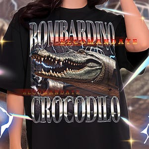 BOMBARDINO CROCODILO Shirt, Anomaly Crocodile Plane Shirt, Crocodile Plane Bootleg Tee, Croco Jet Retro Tee, Animal Jet Mashup, Gen Alpha