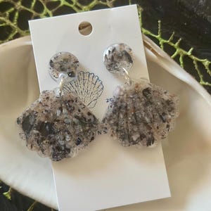 New England Mussel Shell Earring