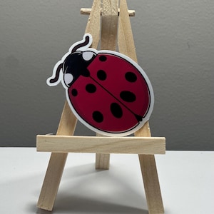 Sticker coccinelle, sticker coccinelle imperméable, cottagecore, stickers nature, insectes, bug core
