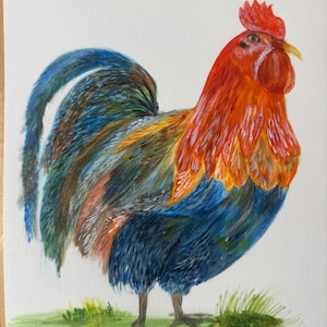 rooster