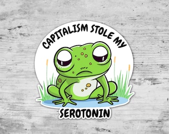 Capitalism Stole My Serotonin, Socialism Sticker, Anti-Capitalist Die Cut Sticker, Mental Health,  Cute Frog, Laptop Sticker