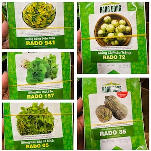 Rau Diep Ca